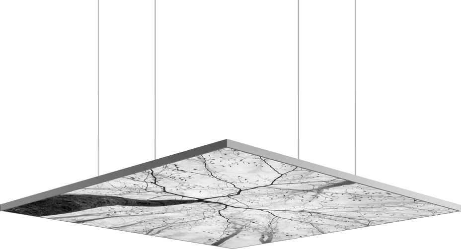 Image is not available